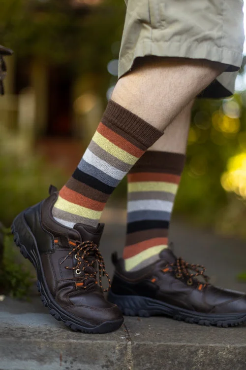 Bear Pride Stripes Crew Tube Socks