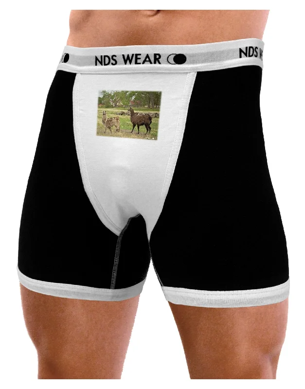 Standing Llamas Mens Boxer Brief Underwear by TooLoud