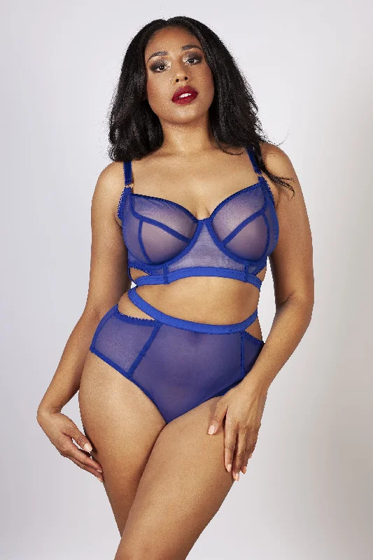 Harper HW Mesh Cut Out Brief Blue